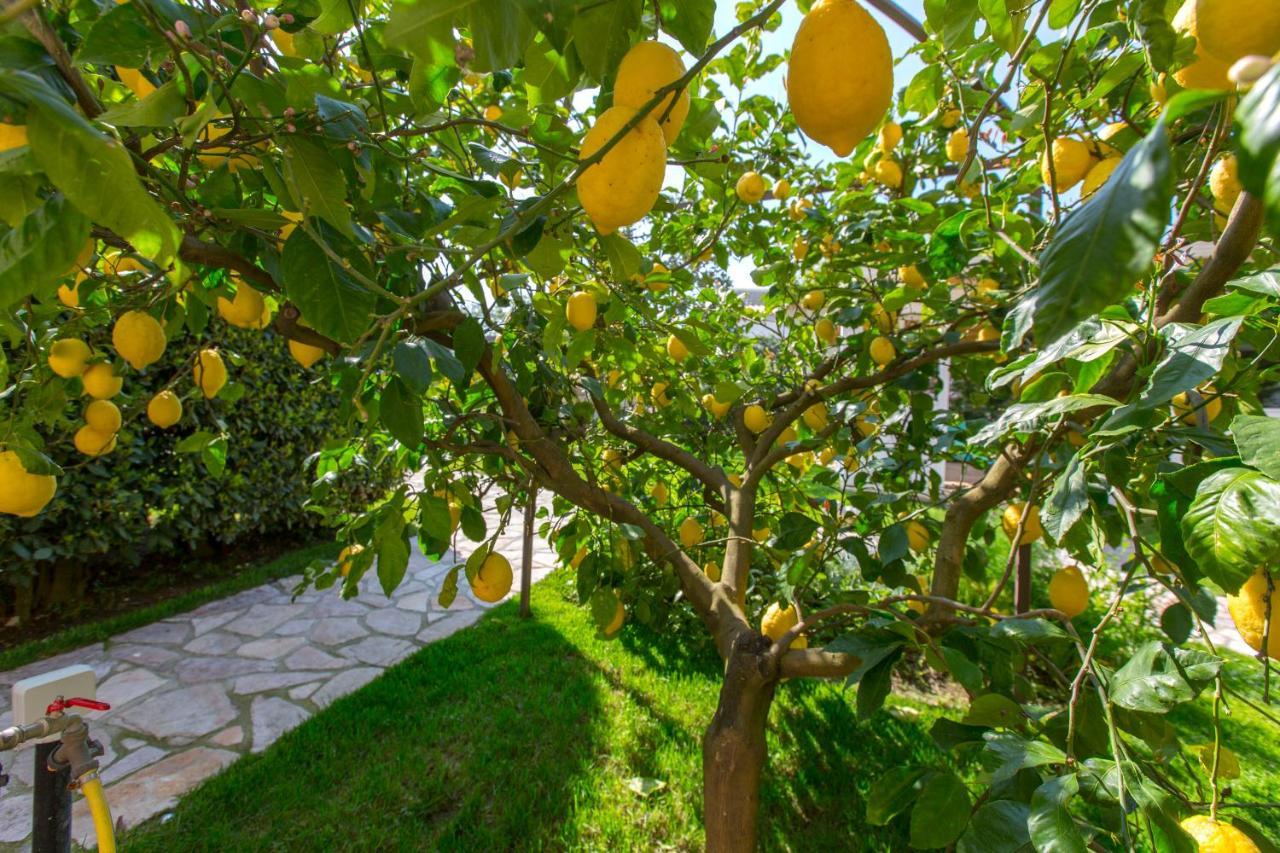 Resort Ravenna Massa Lubrense Εξωτερικό φωτογραφία
